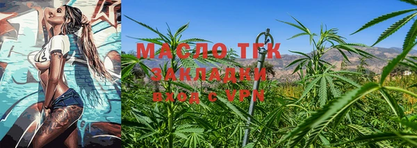 индика Беломорск