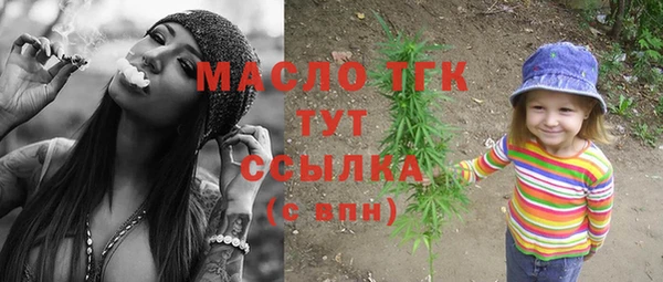 индика Беломорск