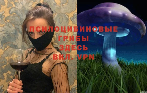 индика Беломорск
