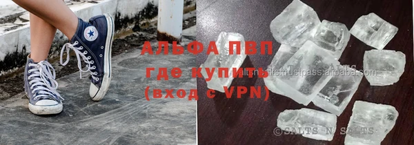 индика Беломорск