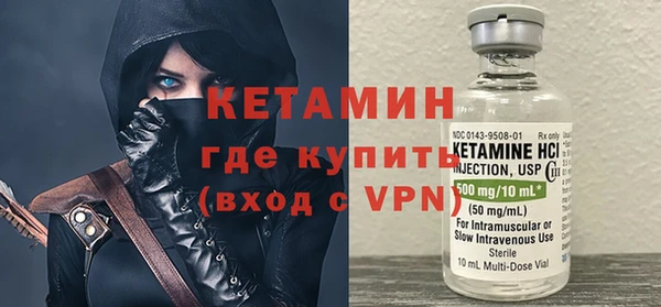 сатива Сясьстрой