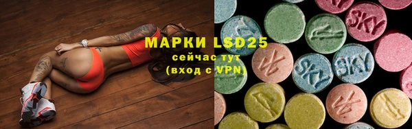 индика Беломорск