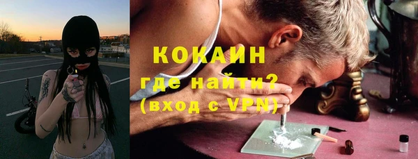 индика Беломорск