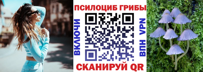 Псилоцибиновые грибы ЛСД  Купить закладки  Губкин 